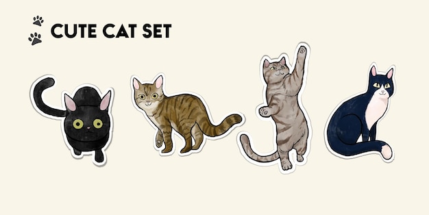 Colección linda de la ilustración de la acuarela del gato