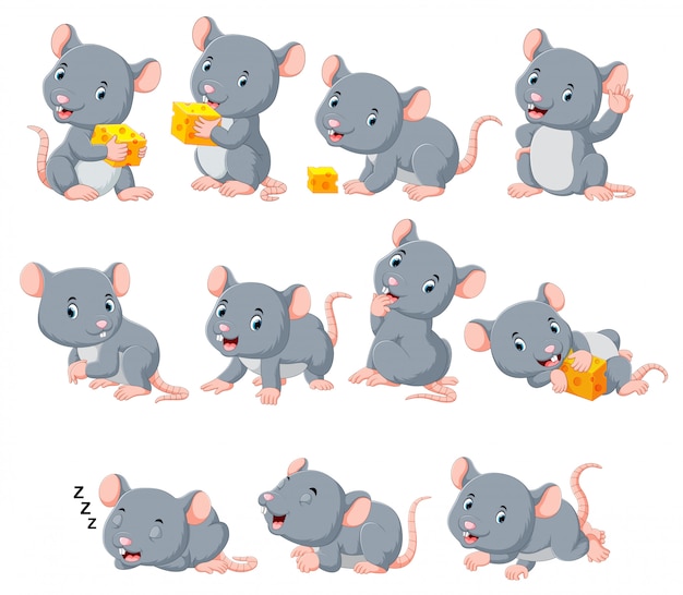 Vector colección de lindo ratón con varias poses