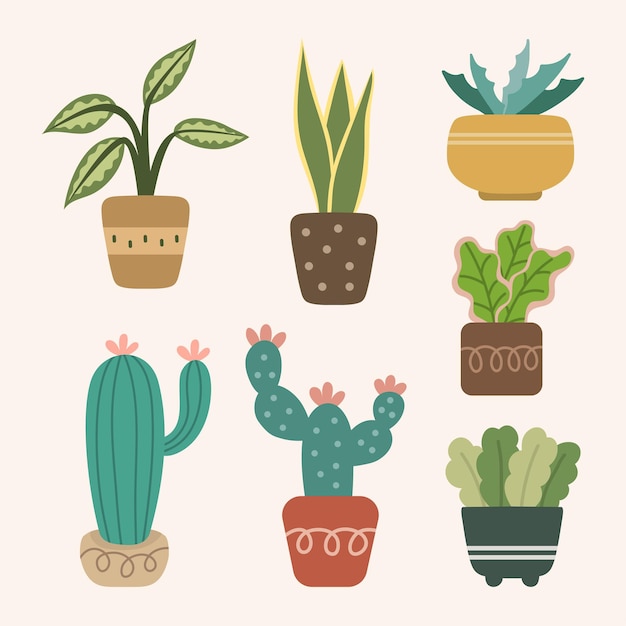 Colección de lindo vector plano de planta de interior
