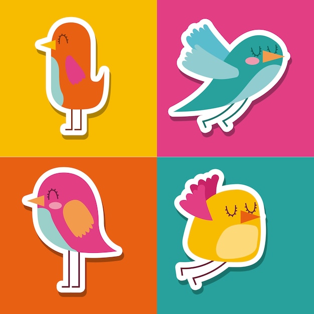 Vector colección de lindos pájaros de colores encantador