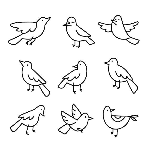 Colección de lindos pájaros de contorno dibujado a mano