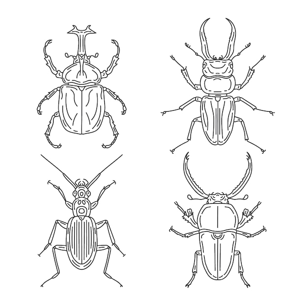 Colección line art beetle