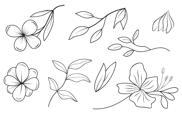 Colección de líneas dibujadas a mano florales Ilustración vectorial