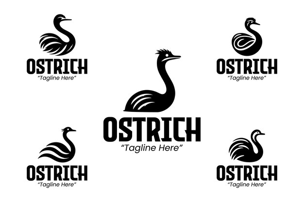 Colección de logos de avestruz