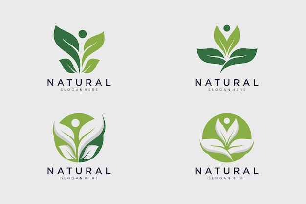 Colección de logotipos orgánicos naturales vector de diseño de hojas con idea creativa