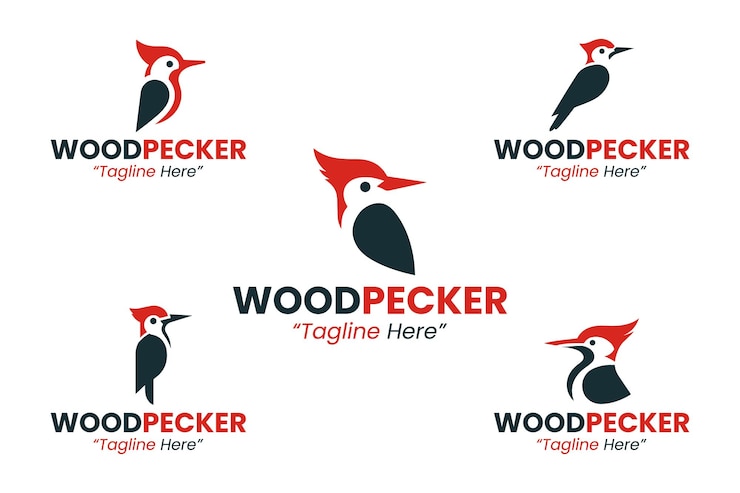 Vector colección de logotipos de pájaro carpintero