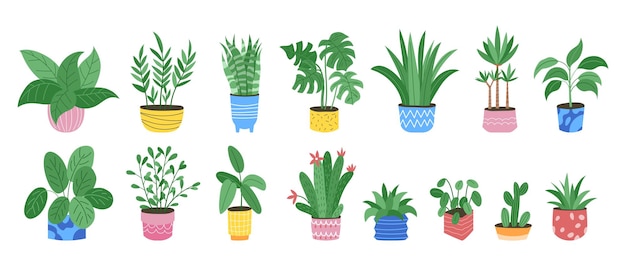 Colección de macetas de flores cactus de casa y jardín suculento ficus tropical en interior hoja de palma objetos de interior vector llamativos ilustraciones planas de dibujos animados