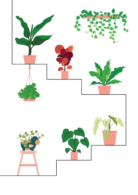 Colección de macetas de plantas la línea de escalón con planta de vid colgando en el diseño de vector de pared