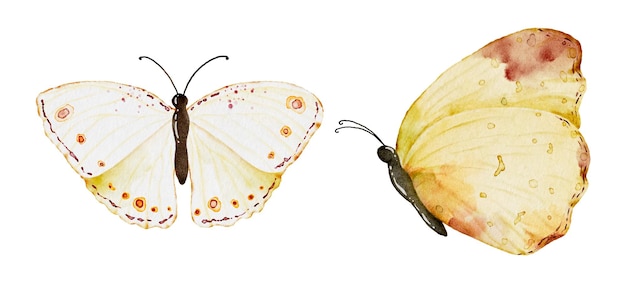 Colección de mariposas amarillas en acuarela