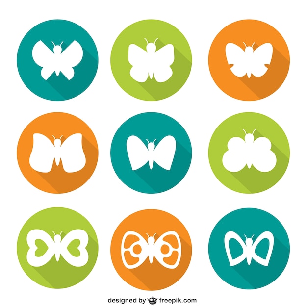 Vector colección mariposas blancas