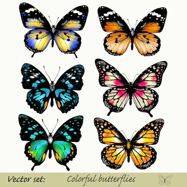 Colección de mariposas a color