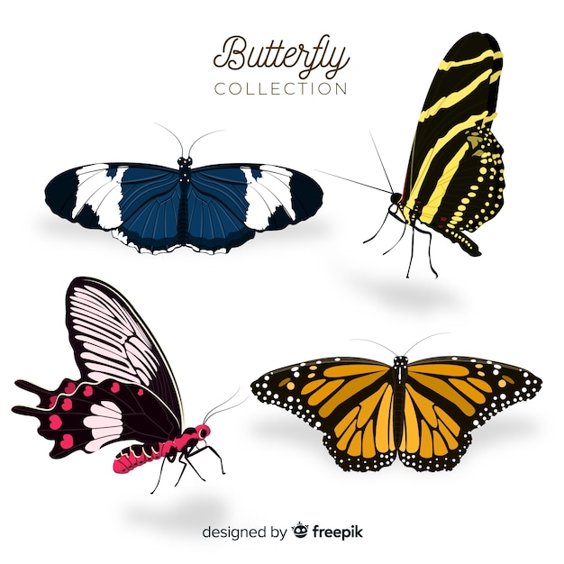 Colección de mariposas en diseño plano