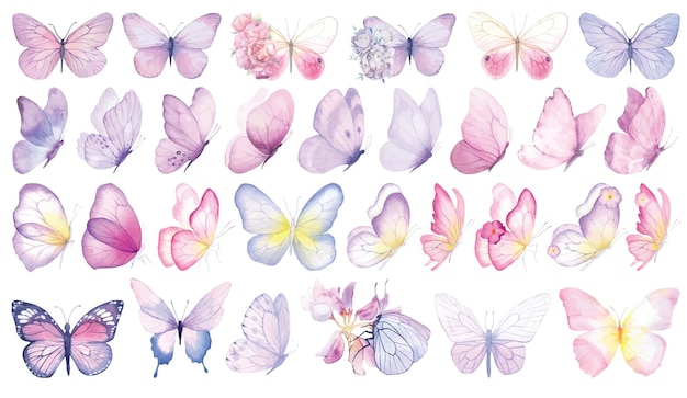 Colección de mariposas Ilustración en acuarela Coloridas mariposas Conjunto de cliparts Diseño de ducha para bebés