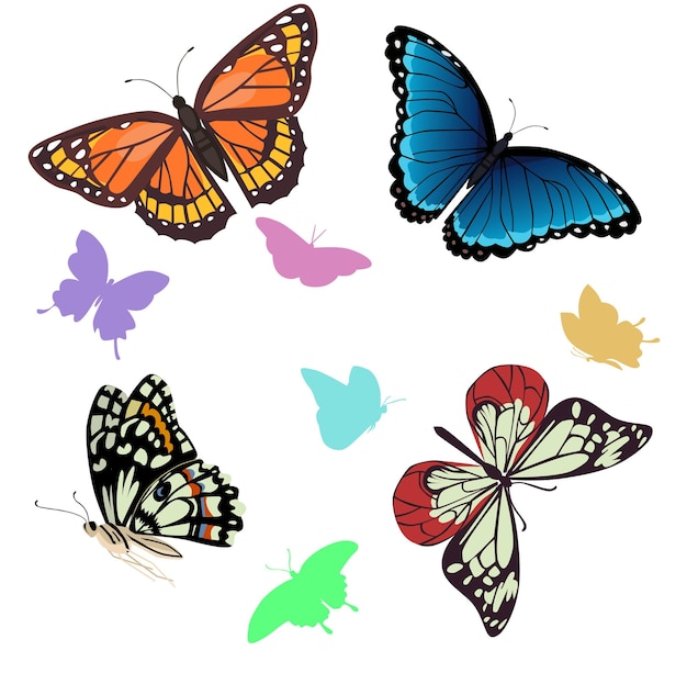 Vector colección de mariposas multicolores ilustración vectorial