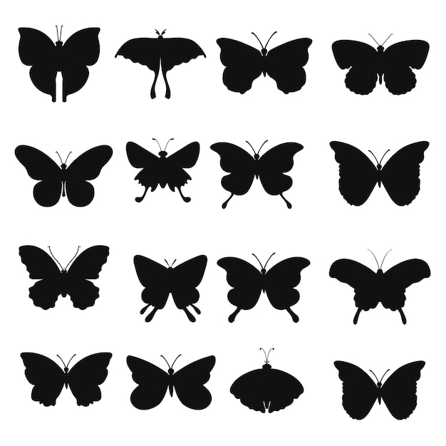 una colección de mariposas con las palabras quot mariposas quot en ellos