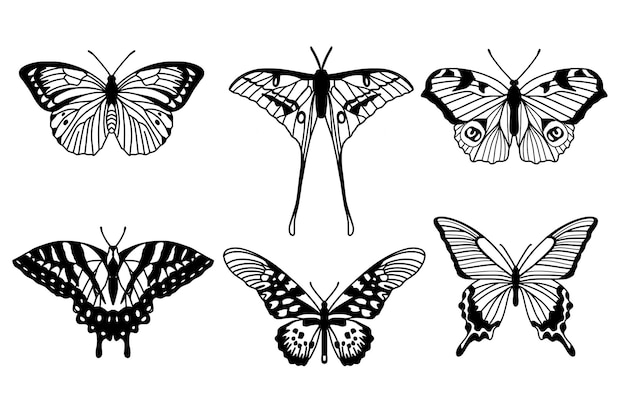 Colección de mariposas realista mariposa de color negro sobre fondo blanco ilustración vectorial