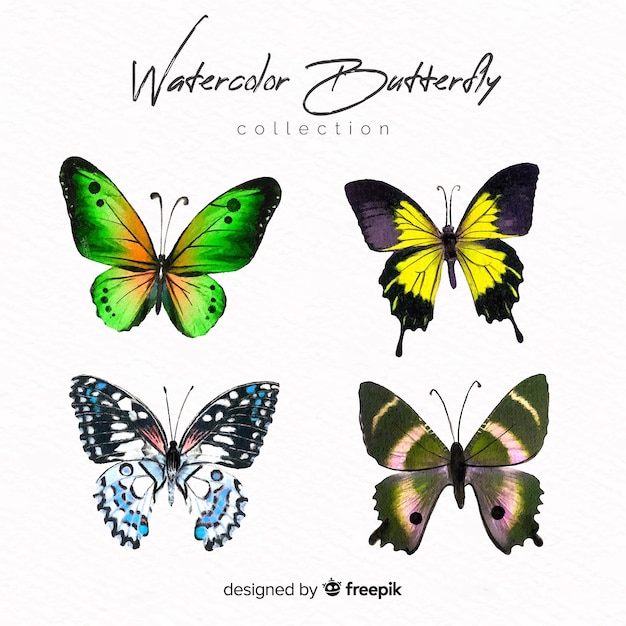 Vector colección de mariposas realistas