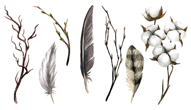 Colección marrón de ramas de plumas y cajas de algodón.