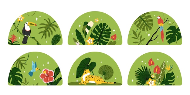 Colección de mini ilustraciones de flora y fauna exóticas dibujadas a mano con plantas tropicales y animales salvajes