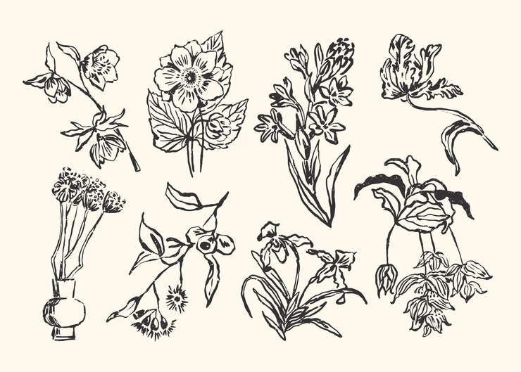 Vector colección minimalista de ilustraciones botánicas vectoriales para identidad de marca.