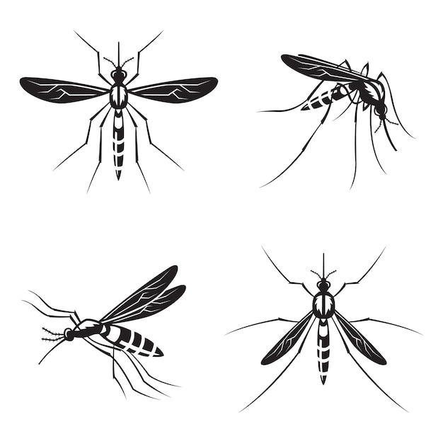 Vector colección monocromática de mosquito con aguijón