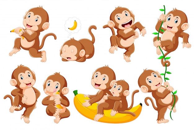 Vector colección de monos en diferentes poses