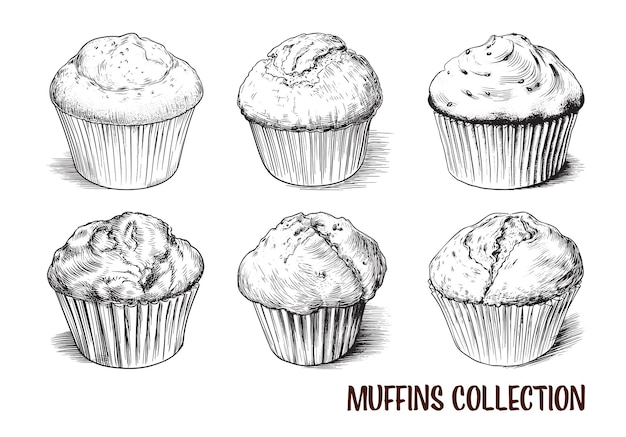 Vector colección de muffins dibujados