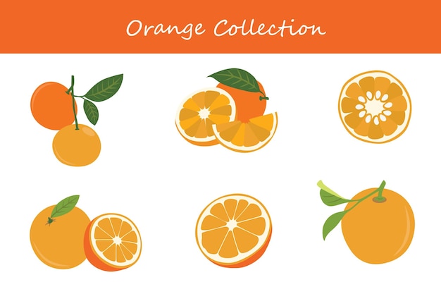 colección de naranja naranja en diferentes poses Ilustración vectorial