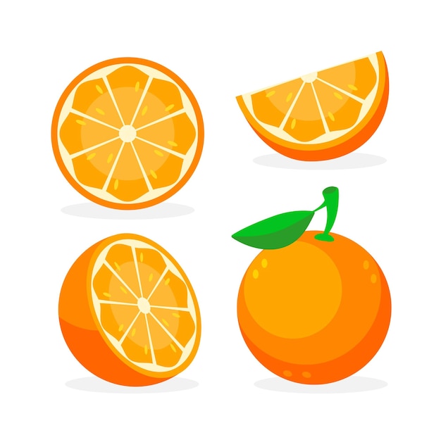 Colección de naranjas frescas Frutas de naranja aisladas sobre un fondo blanco Ilustración vectorial