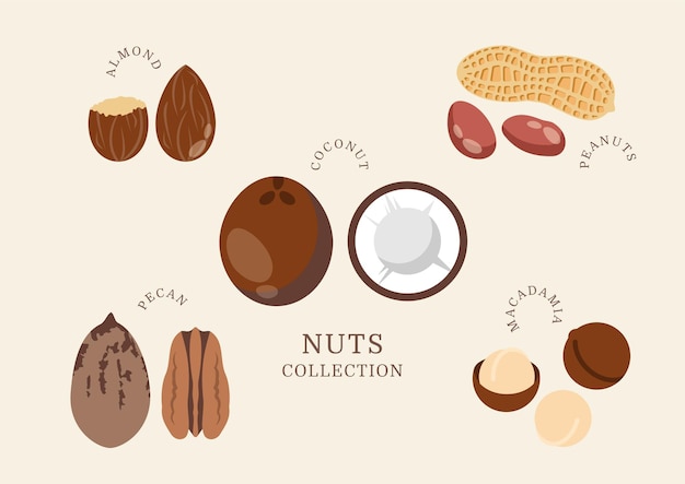 Colección de nueces