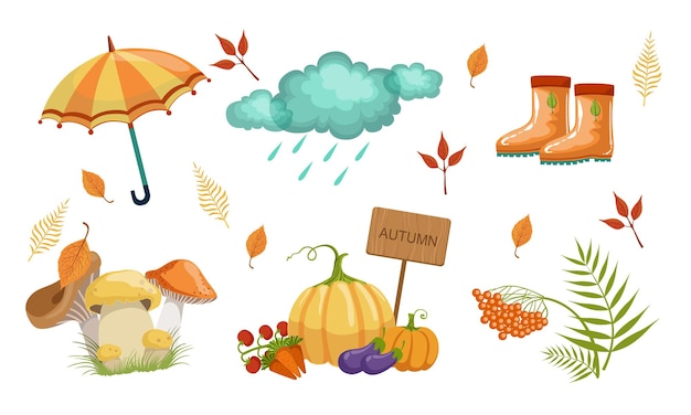 Colección de objetos de la temporada de otoño Elementos de diseño de otoño Paraguas nubes lluviosas Botas de goma setas verduras ceniza de montaña hojas ilustración vectorial