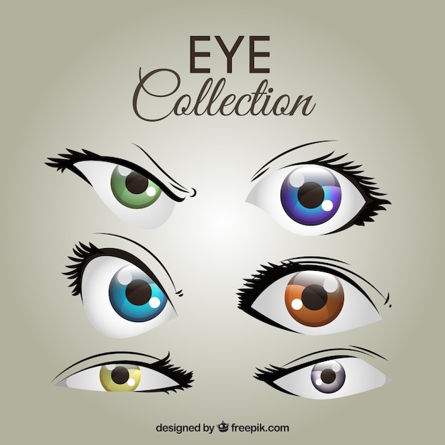 Vector colección de ojos femeninos de colores