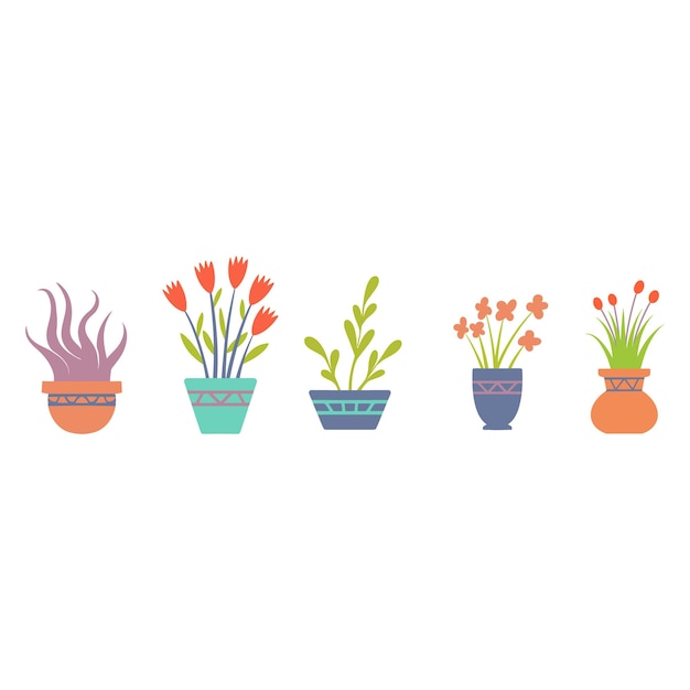 una colección de ollas con flores y plantas