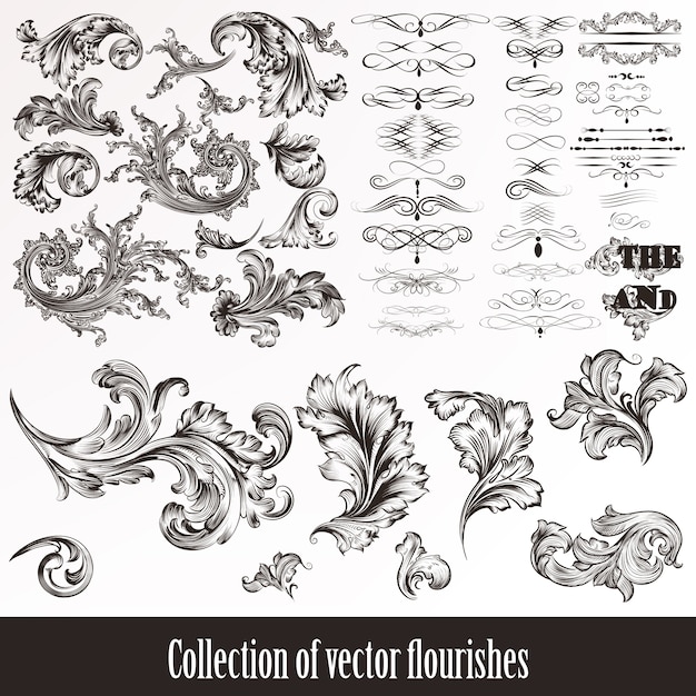 Vector colección de ornamentos decorativos