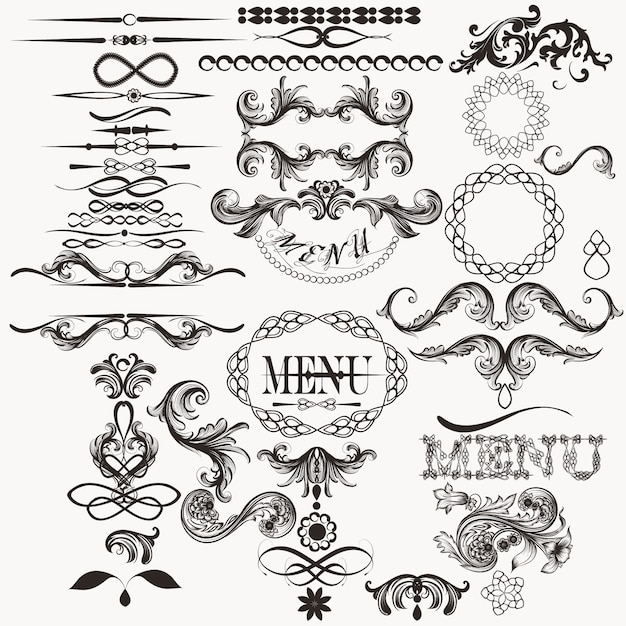 Vector colección de ornamentos elegantes dibujados a mano