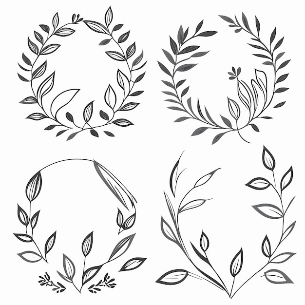 Vector colección de ornamentos florales dibujados a mano