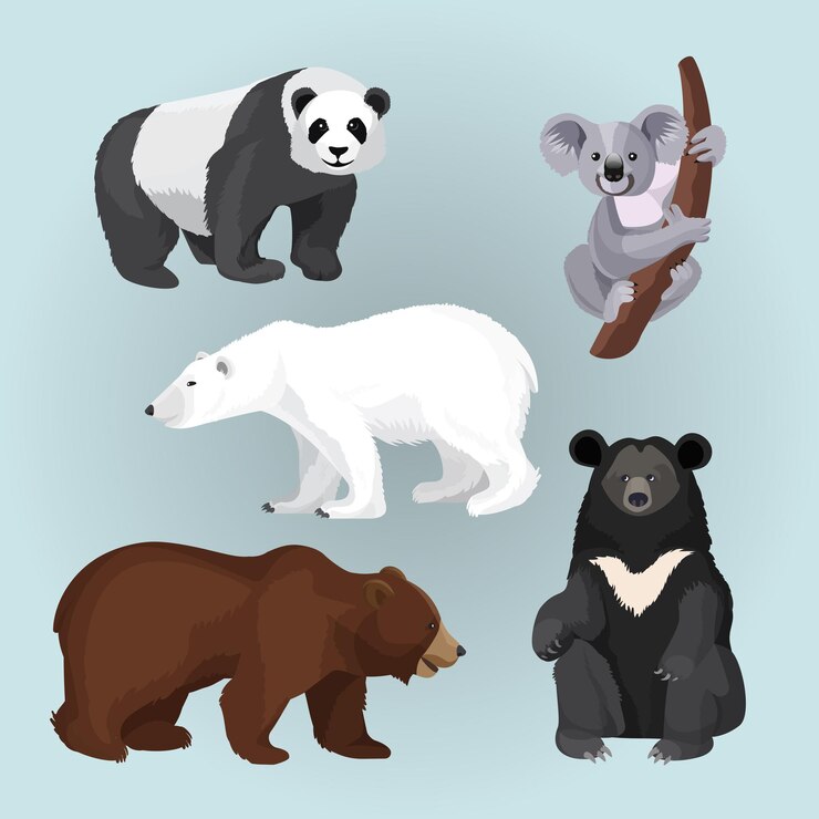 Vector colección de osos aislado en azul