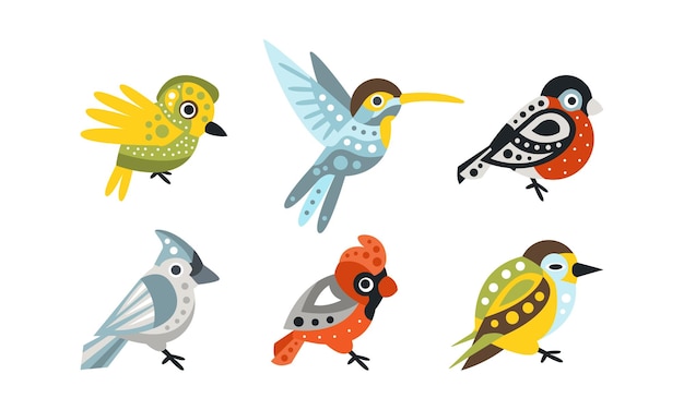 Colección de pájaros coloridos Colibri Bullfinch Cardenal del Norte Ilustración vectorial de dibujos animados