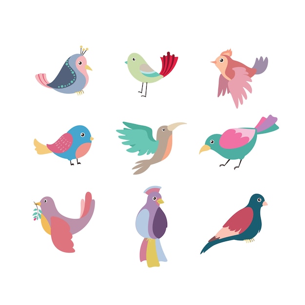 Colección de pájaros coloridos hermosos estilizados
