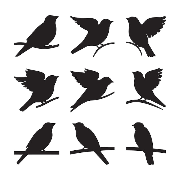 una colección de pájaros incluyendo uno con las alas de los otros