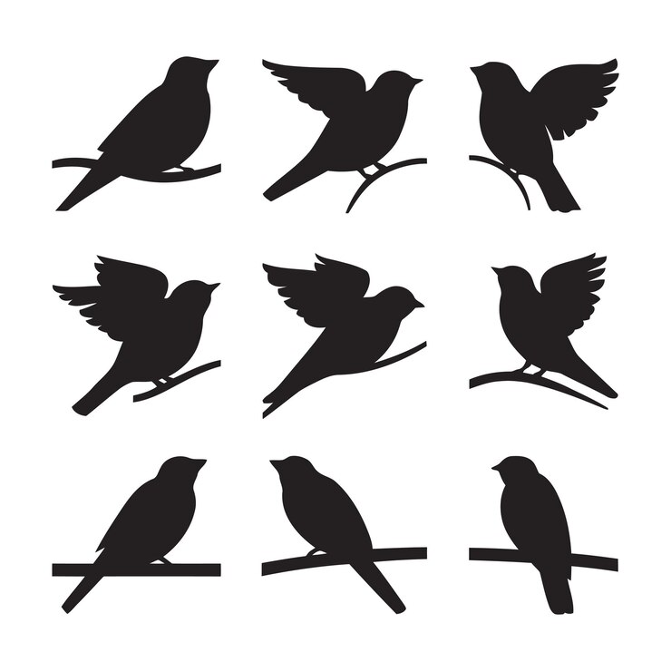 una colección de pájaros incluyendo uno con las alas de los otros
