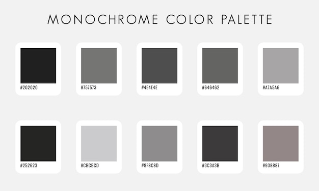 Colección de la paleta de colores monocromática vectorial