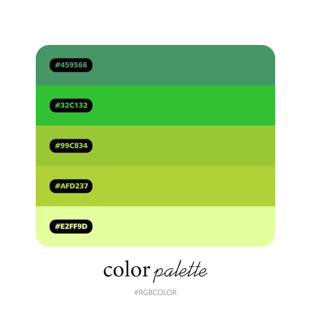 Una colección de paletas de colores precisos con códigos, perfecta para ilustradores