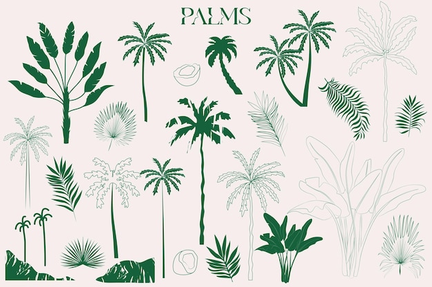 Colección de palmera Ilustración vectorial editable