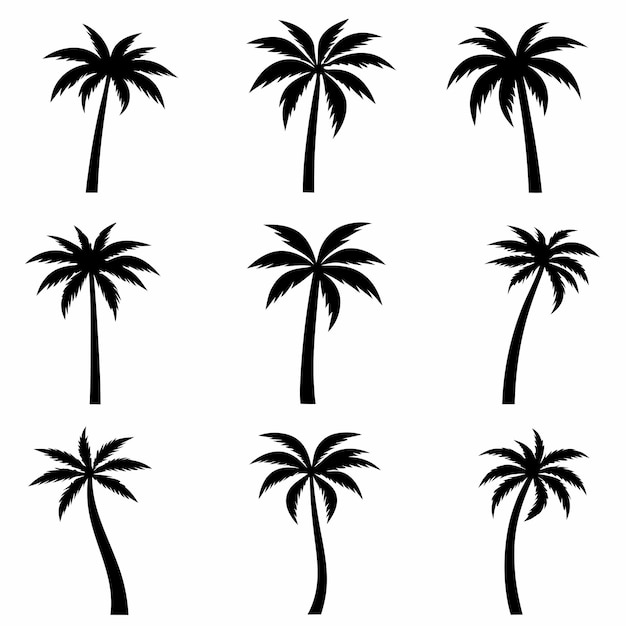 una colección de palmeras con un fondo blanco con un fondo negro y blanco