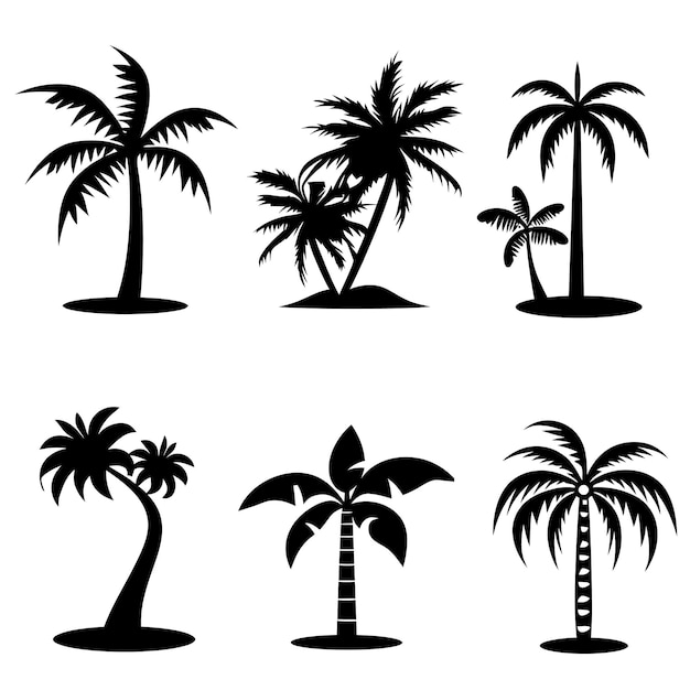 una colección de palmeras y un fondo blanco con una imagen de palmeras