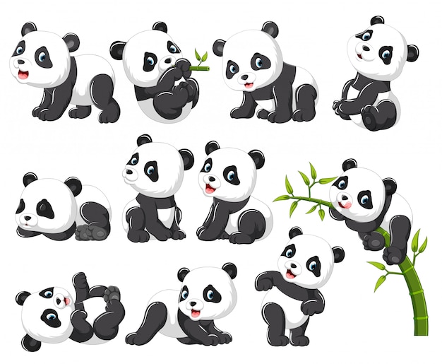 Colección de panda feliz con varias poses