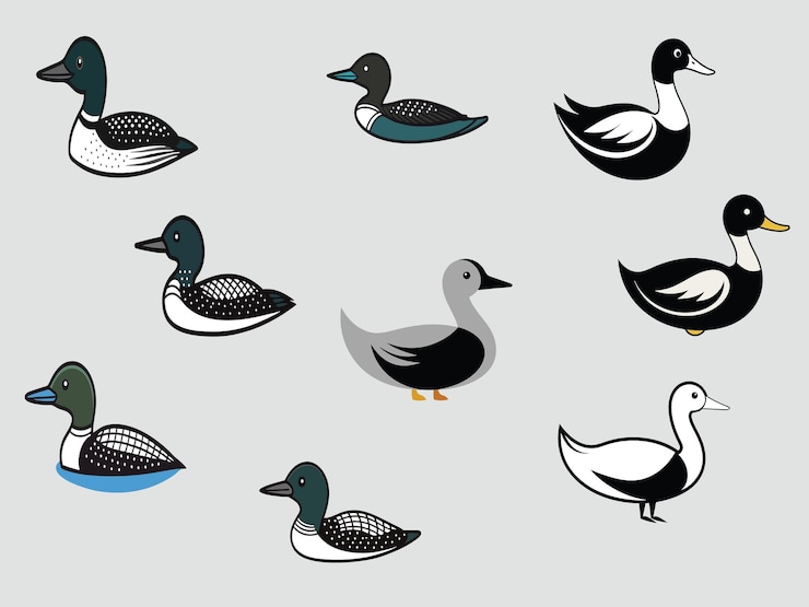Vector una colección de patos y patos en un fondo gris