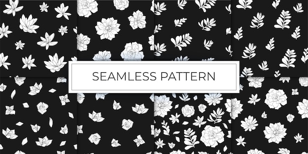 Colección de patrones sin fisuras de flores suculentas gráficos boceto dibujado a mano en blanco y negro