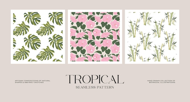 Colección de patrones sin fisuras de flores tropicales y botánicas para papel de regalo o diseño de envases